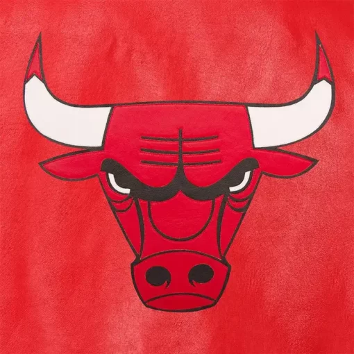 Chicago Bulls Logo Jacket