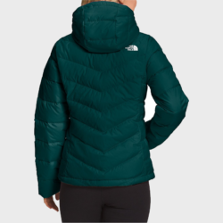 TNF Womens Roxborough Luxe Green Hooded Jacket
