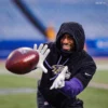 Unisex Baltimore Ravens Nike Pullover Hoodie made from Top-Grade Quality Fleece Fabric